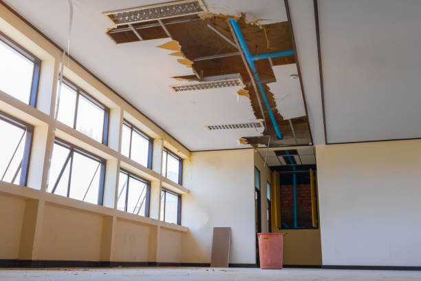 Best 24-hour water damage restoration  in Miami Springs, FL