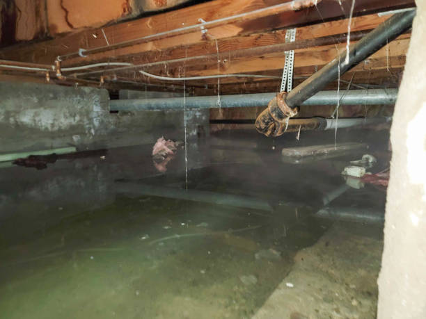 Best Flooded house restoration  in Miami Springs, FL