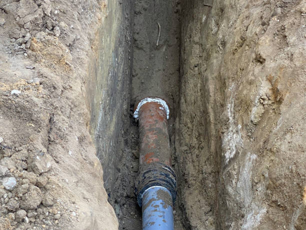 Best Basement water damage restoration  in Miami Springs, FL