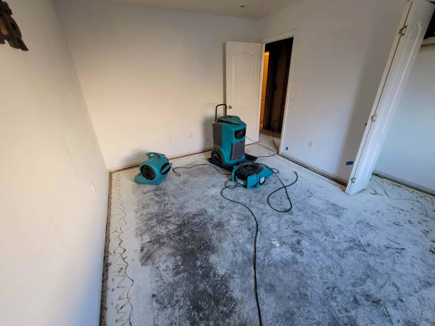 Water damage restoration process in Miami Springs, FL