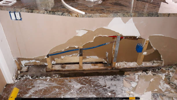 Best Fire Damage Restoration  in Miami Springs, FL