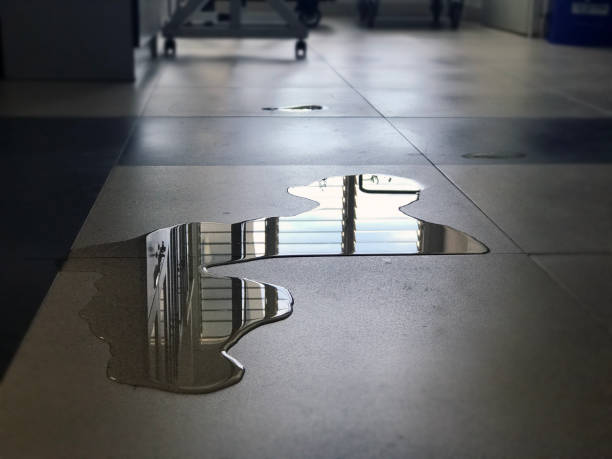 Best Commercial water damage restoration  in Miami Springs, FL