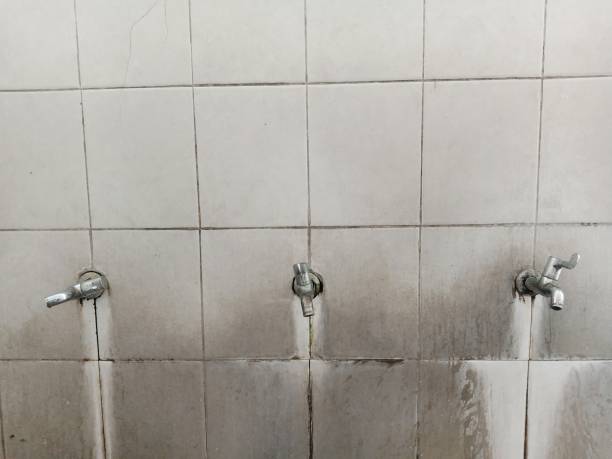Best Mold removal after water damage  in Miami Springs, FL