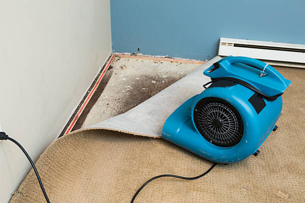Best Water damage restoration near me  in Miami Springs, FL